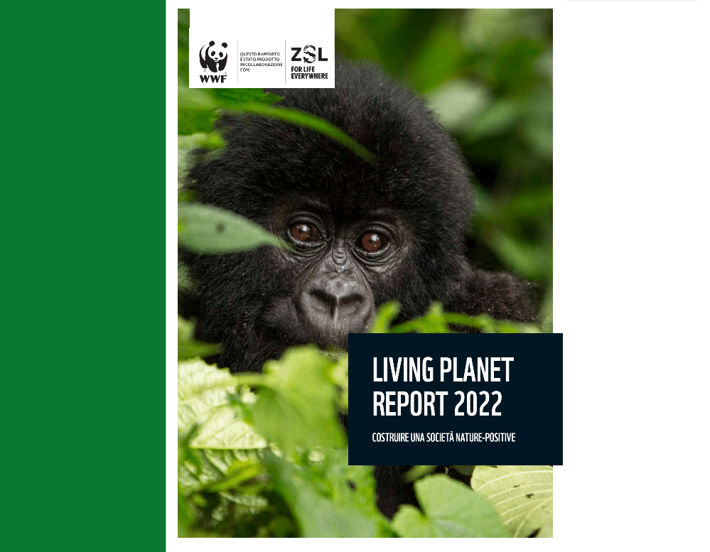 Living Report WWF “In 50 anni le popolazioni di invertebrati