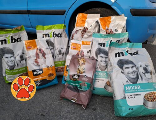La Cooperativa Levante dona 30 chili di cibo per cani senza casa