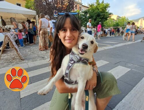 Che successo una “Giornata da cani 2024”! Coccole, sfilata canina e il ricordo di Marta – LE FOTO