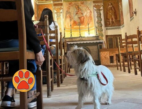 Anche Nina in visita a Casperia per la Giornata FAI d’Autunno. E Miao fa il Cicerone