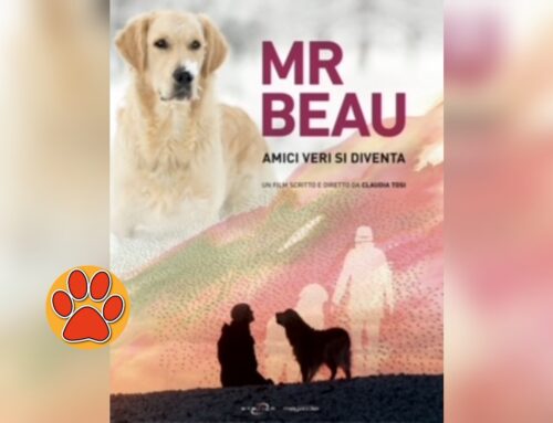 Il 13 novembre a Roma proiezione del film “Mr. Beau, veri amici si diventa”