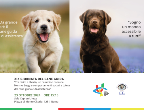 29esima giornata nazionale del cane guida. Evento a Roma con passeggiata insieme ai cani guida