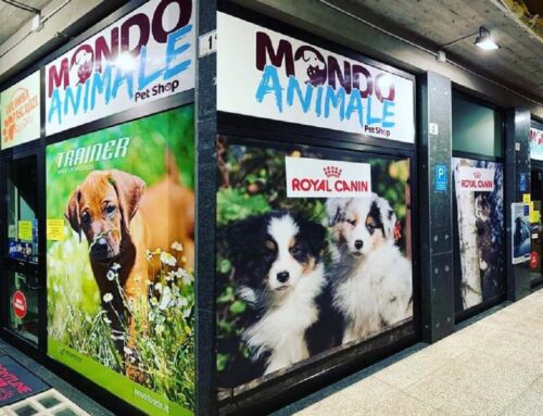 Ti è sempre piaciuto lavorare nel mondo degli animali? “Mondo Animale Pet Shop” cerca personale