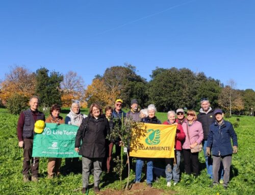 Festa dell’Albero 2024, a Roma nel quartiere Ottavia l’area verde su via Vivi Gioi sta diventando una meravigliosa foresta urbana