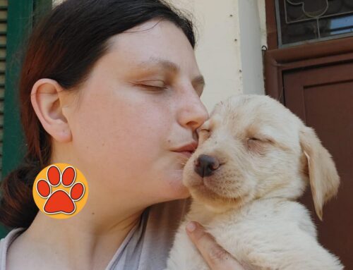 APPUNTI A SEI ZAMPE – Oggi incontriamo Irene che ci parla di Ishtar detto Polpetta. Vi siete mai posti domande prima di prendere un cane?