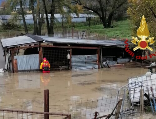 Maltempo, salvato a Rivodutri gregge di ovini