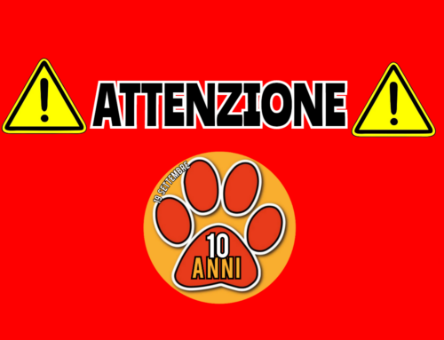 ⚠️ ATTENZIONE ⚠️ – Segnalati bocconi con vetri zone Selci, Cantalupo