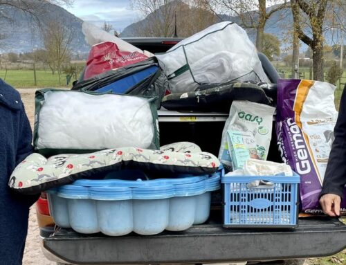 Mega donazione di cibo e coperte di Florian e Susanne per i cani e gatti senza famiglia di Gubbio (Umbria)