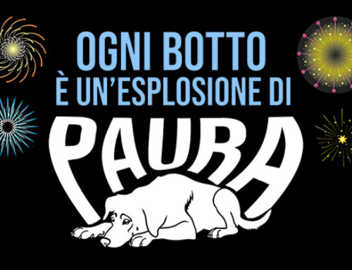 Tra pochi giorni centinaia di cani fuggiranno o rischieranno la vita per i botti di fine anno