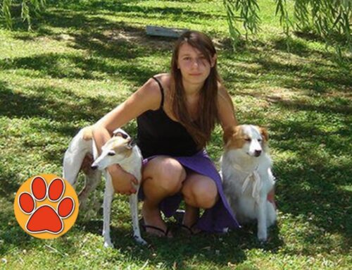 14 anni fa la scomparsa di Silvia Rosati studentessa in veterinaria e animalista