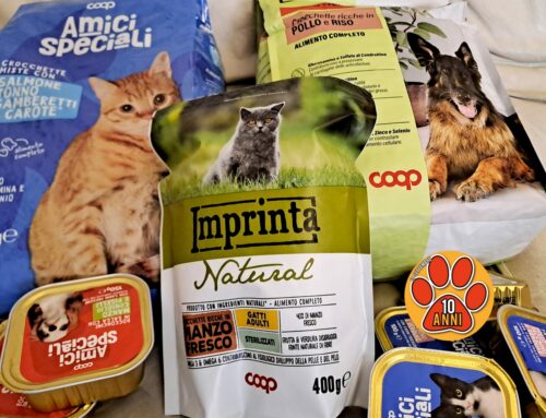 Nel ricordo di Marta: donate crocchette ai gatti della colonia di Quattro Strade