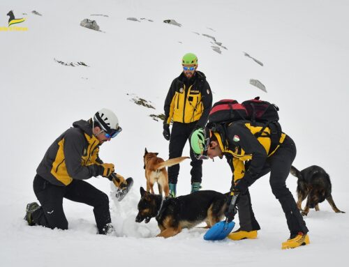 Guardia di Finanza: Sicurezza e prevenzione nelle escursioni in montagna. L’importanza dei cani soccorso