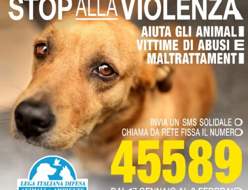 Stop alla violenza sugli animali, LEIDAA: “Dal 17 gennaio al 2 febbraio invia un SMS solidale al 45589”