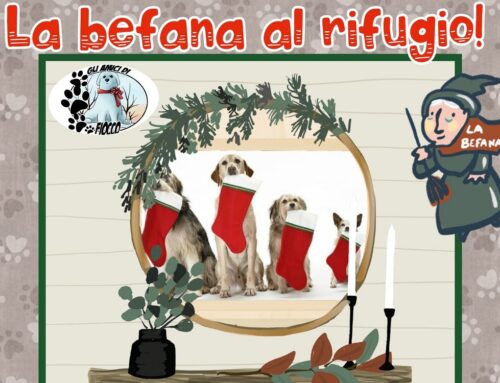 Il 6 gennaio la Befana al Rifugio di Fiocco