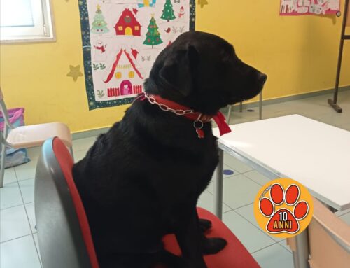 A scuola con Aida: a Canetra e Cittaducale i bimbi in classe avranno una compagna di banco davvero speciale!