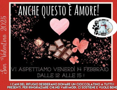 Per San Valentino due appuntamenti con i cani del Rifugio di Fiocco