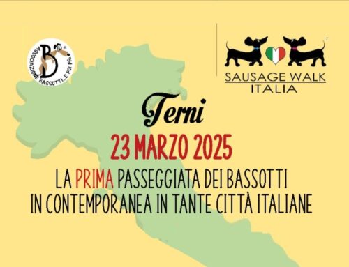 A Terni il 23 marzo la prima “Passeggiata dei Bassotti” in contemporanea in tutta Italia